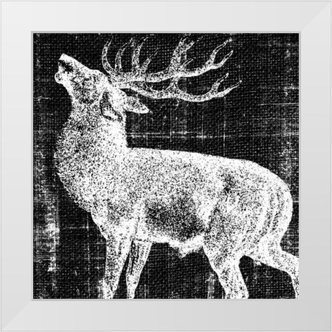 Northwest Territory II White Modern Wood Framed Art Print by Vision Studio