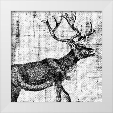 Northwest Territory III White Modern Wood Framed Art Print by Vision Studio