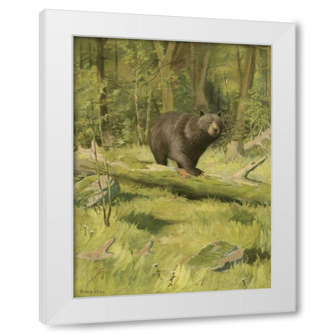 Black Bear White Modern Wood Framed Art Print by Kemp, Oliver