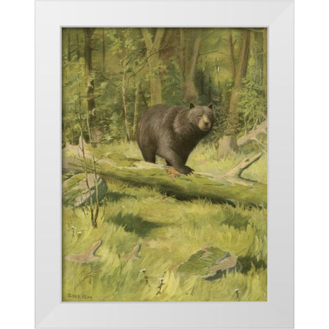 Black Bear White Modern Wood Framed Art Print by Kemp, Oliver