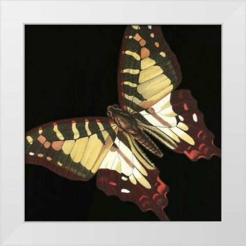 Small Dramatic Butterflies III White Modern Wood Framed Art Print by Vision Studio