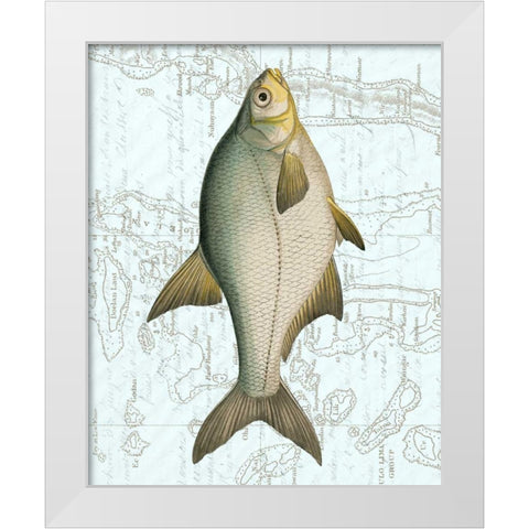 Freshwater I White Modern Wood Framed Art Print by Vision Studio