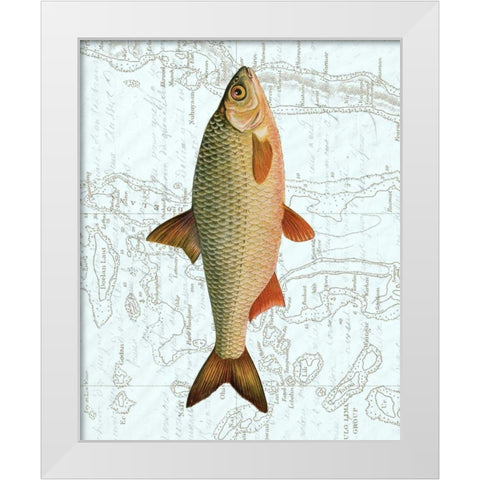 Freshwater III White Modern Wood Framed Art Print by Vision Studio