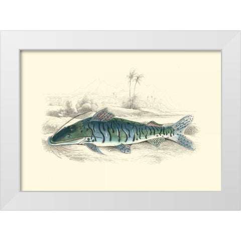 Lizars Game Fish II White Modern Wood Framed Art Print by Lizars, W.H.