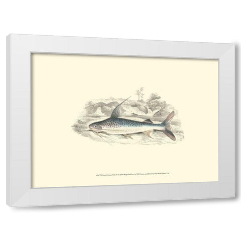 Lizars Game Fish IV White Modern Wood Framed Art Print by Lizars, W.H.