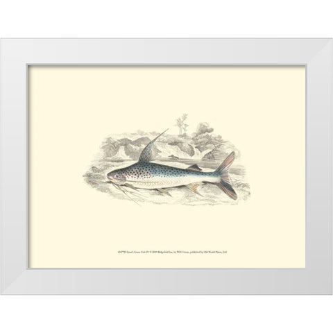 Lizars Game Fish IV White Modern Wood Framed Art Print by Lizars, W.H.