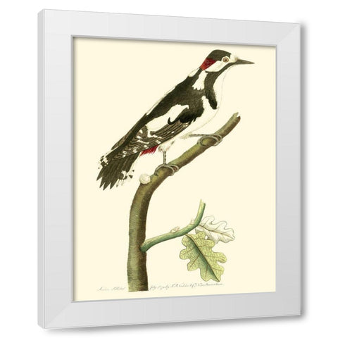 Crimson Birds V White Modern Wood Framed Art Print by Nodder, Frederick P.