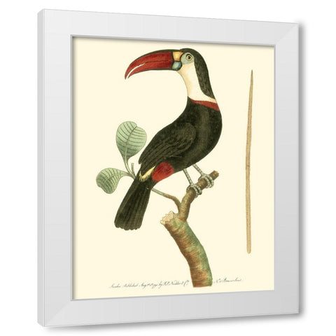 Crimson Birds VI White Modern Wood Framed Art Print by Nodder, Frederick P.