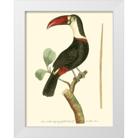 Crimson Birds VI White Modern Wood Framed Art Print by Nodder, Frederick P.