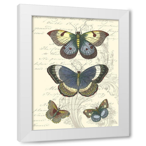 Butterfly Delight I White Modern Wood Framed Art Print by Vision Studio