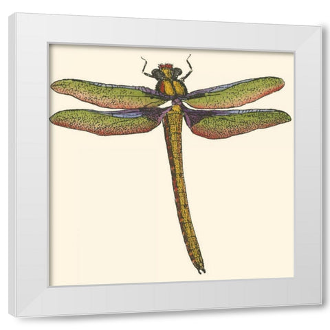 Miniature Dragonfly I White Modern Wood Framed Art Print by Vision Studio