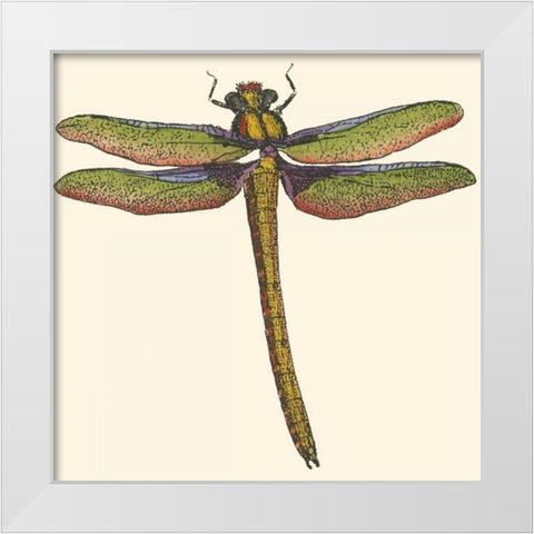 Miniature Dragonfly I White Modern Wood Framed Art Print by Vision Studio