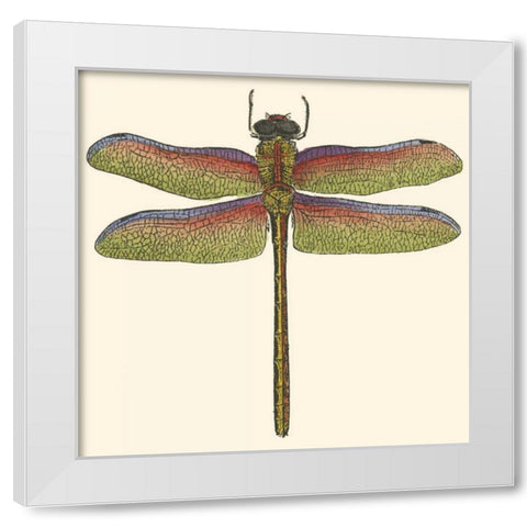 Miniature Dragonfly III White Modern Wood Framed Art Print by Vision Studio
