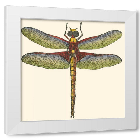 Miniature Dragonfly IV White Modern Wood Framed Art Print by Vision Studio