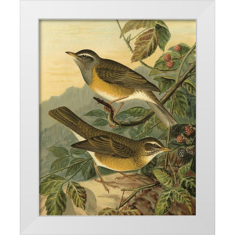 Small Woodland Birds III White Modern Wood Framed Art Print by Vision Studio