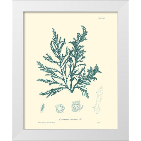 Nature Print in Aqua I White Modern Wood Framed Art Print by Vision Studio