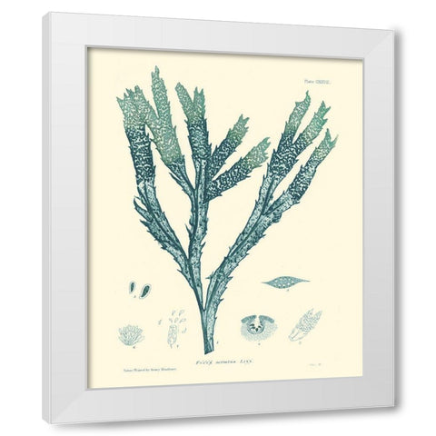 Nature Print in Aqua III White Modern Wood Framed Art Print by Vision Studio