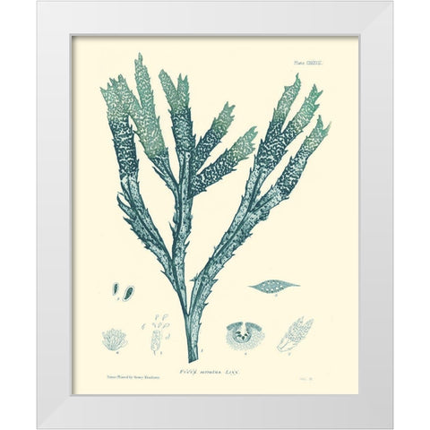 Nature Print in Aqua III White Modern Wood Framed Art Print by Vision Studio