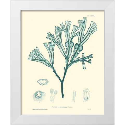 Nature Print in Aqua IV White Modern Wood Framed Art Print by Vision Studio