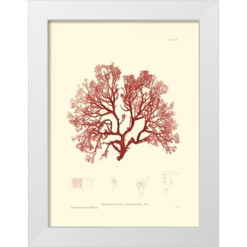 Nature Print in Coral II White Modern Wood Framed Art Print by Vision Studio