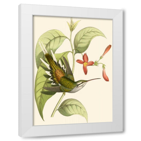 Delicate Hummingbird I White Modern Wood Framed Art Print by Vision Studio
