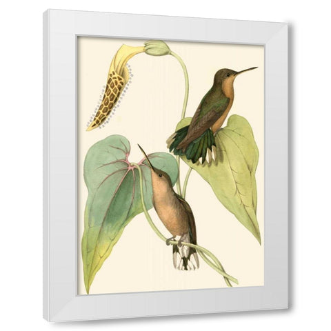 Delicate Hummingbird II White Modern Wood Framed Art Print by Vision Studio