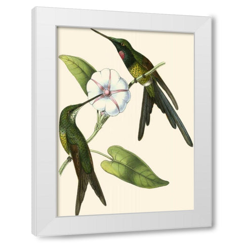 Delicate Hummingbird III White Modern Wood Framed Art Print by Vision Studio