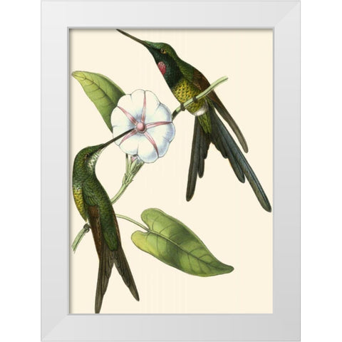 Delicate Hummingbird III White Modern Wood Framed Art Print by Vision Studio