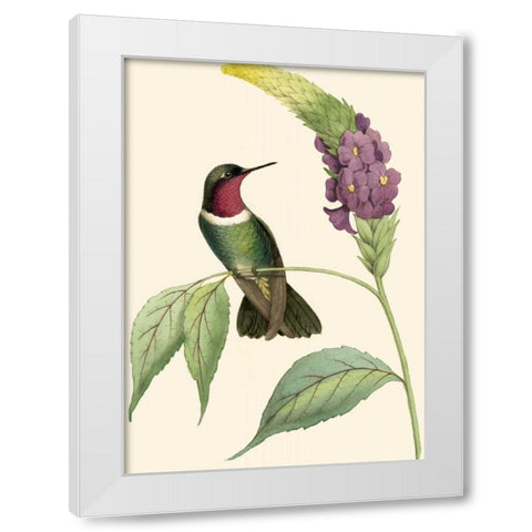 Delicate Hummingbird IV White Modern Wood Framed Art Print by Vision Studio