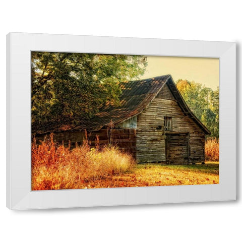 Barn Loft Memories White Modern Wood Framed Art Print by Head, Danny