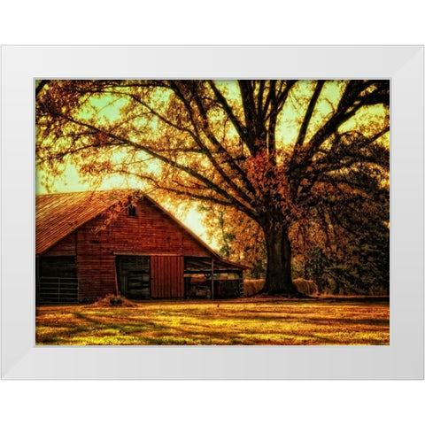 Last Tree Standing White Modern Wood Framed Art Print by Head, Danny