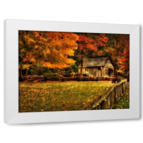 Autumn at the Mill White Modern Wood Framed Art Print by Head, Danny