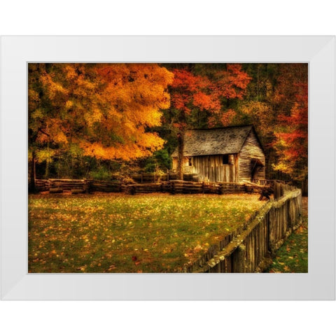 Autumn at the Mill White Modern Wood Framed Art Print by Head, Danny