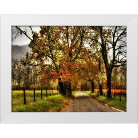 Rainy Morning on Sparks Lane White Modern Wood Framed Art Print by Head, Danny