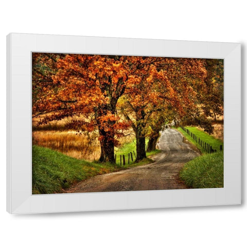 Rainy Morning on Hyatt Lane White Modern Wood Framed Art Print by Head, Danny