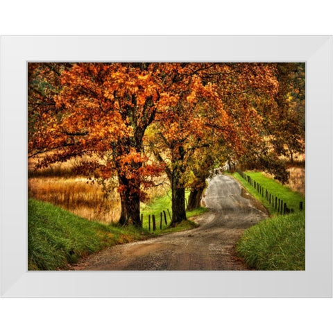 Rainy Morning on Hyatt Lane White Modern Wood Framed Art Print by Head, Danny