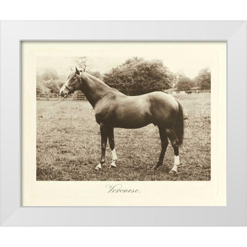 Veronese White Modern Wood Framed Art Print by Hailey, Clarence