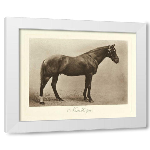 Nunthorpe White Modern Wood Framed Art Print by Hailey, Clarence