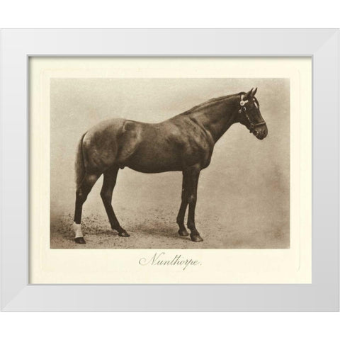 Nunthorpe White Modern Wood Framed Art Print by Hailey, Clarence