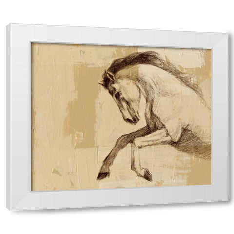 Majestic Horse II White Modern Wood Framed Art Print by Harper, Ethan