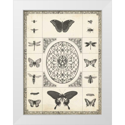 Natures Memento I White Modern Wood Framed Art Print by Vision Studio