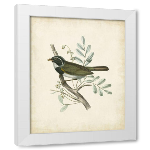 Delicate Birds VI White Modern Wood Framed Art Print by Unknown