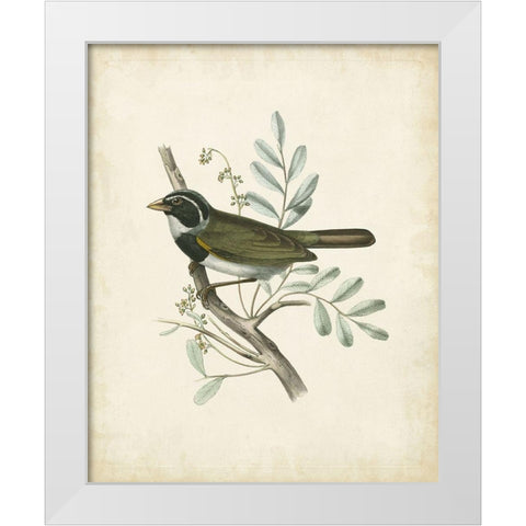 Delicate Birds VI White Modern Wood Framed Art Print by Unknown