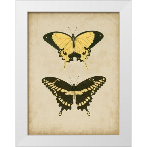 Antique Butterfly Pair I White Modern Wood Framed Art Print by Vision Studio