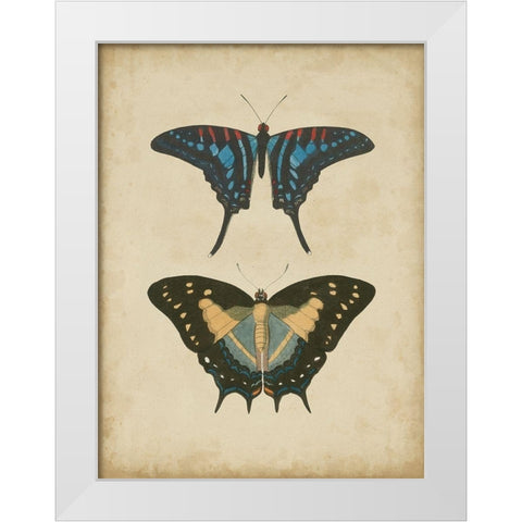 Antique Butterfly Pair III White Modern Wood Framed Art Print by Vision Studio