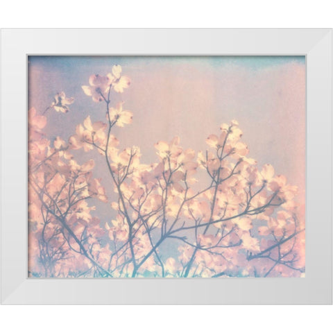 Flowering Dogwood II White Modern Wood Framed Art Print by Johnson, Jason