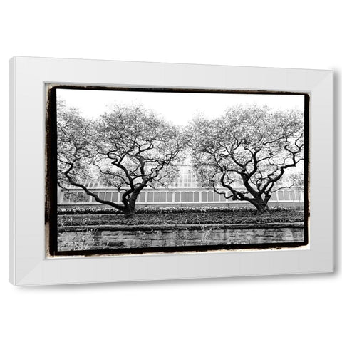 Conservatory II White Modern Wood Framed Art Print by DeNardo, Laura