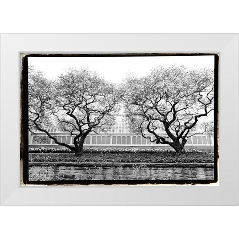Conservatory II White Modern Wood Framed Art Print by DeNardo, Laura