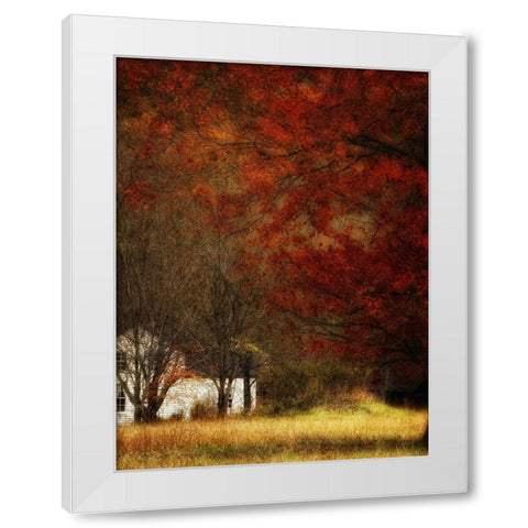 Beyond Octobers Maple White Modern Wood Framed Art Print by Head, Danny