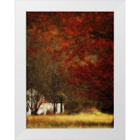 Beyond Octobers Maple White Modern Wood Framed Art Print by Head, Danny